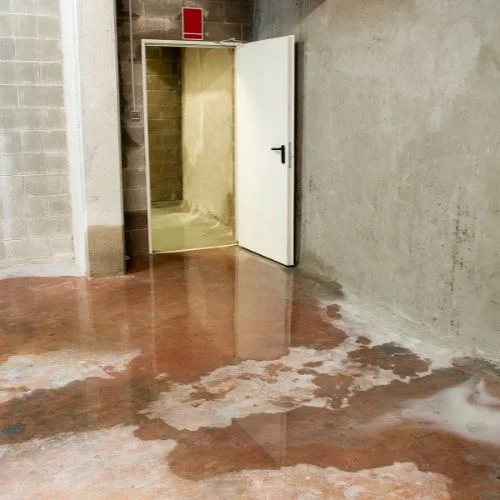 signs of water damage behind bathroom wall